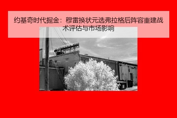 约基奇时代掘金：穆雷换状元选弗拉格后阵容重建战术评估与市场影响